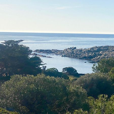 Maison De Pecheur Superbe Vue Mer, Grand Jardin Cadaqués Exteriér fotografie