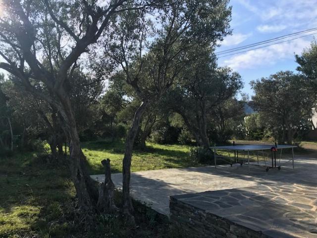 Maison De Pecheur Superbe Vue Mer, Grand Jardin Cadaqués Exteriér fotografie